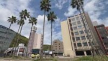 徳島市のワシントンヤシ　知られざる歴史に迫る【徳島】