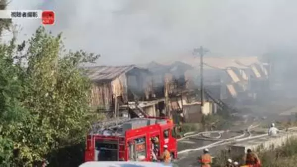【続報】石井町の養鶏場火災　鶏舎2棟全焼・3万羽焼け死ぬ【徳島】
