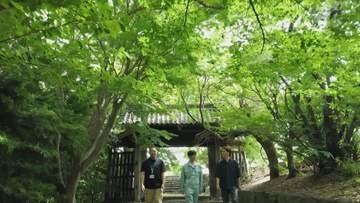県内最古の創建　緑深まる丈六寺の魅力【徳島】