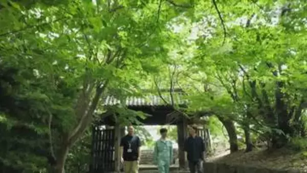 県内最古の創建　緑深まる丈六寺の魅力【徳島】