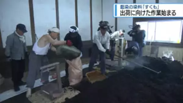 「すくも」の袋詰め作業はじまる　上板町・佐藤阿波藍製造所【徳島】