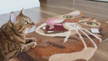 AI＆職人技で驚きの完成度！「猫ラグ」ができるまで【徳島】