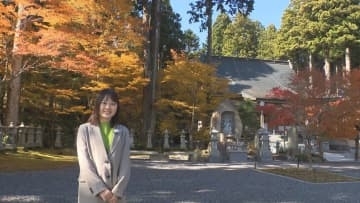 境内華やか　雲辺寺の紅葉真っ盛り【徳島】