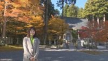 境内華やか　雲辺寺の紅葉真っ盛り【徳島】