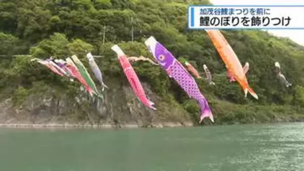 加茂谷鯉まつりを前に　鯉のぼり飾り付け【徳島】