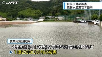 台風６号農林水産業被害状況【徳島】