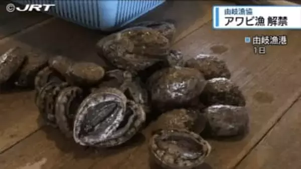 「黒いダイヤ８５キロ」　由岐漁協でアワビ漁 解禁【徳島】