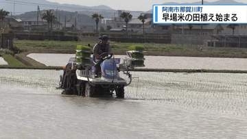 早場米の田植え始まる　阿南市那賀川町【徳島】