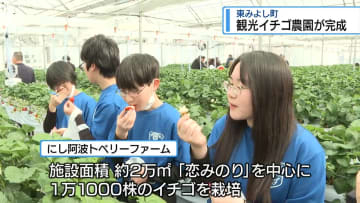 東みよし町に「観光イチゴ農園」　記念式典で完成祝う【徳島】