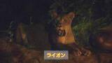 「この夏も人気！　恒例「夜の動物園」で新たな魅力発見【徳島】」の画像1