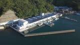 「最先端の「荷さばき所」で見えた！水産業の未来【徳島】」の画像1
