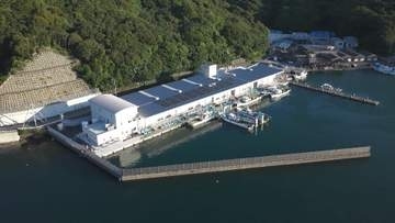 最先端の「荷さばき所」で見えた！水産業の未来【徳島】