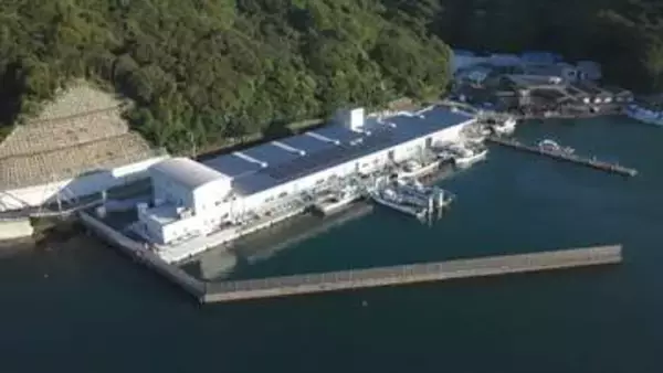 最先端の「荷さばき所」で見えた！水産業の未来【徳島】