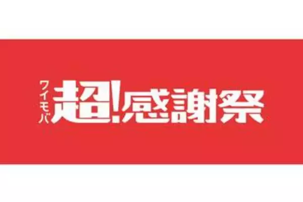 ワイモバイル、紹介特典倍増など　横折りスマホ「nubia Fold」は2年で2.6万円に