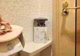 「[本日の一品]トイレに住み着いたアライグマ、ペーパーの陰からこちらを見る」の画像1