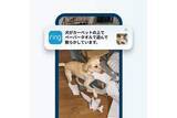 「Ring、アプリを開かずに文章で確認できるAI要約機能　連続アラートのまとめ機能も」の画像1