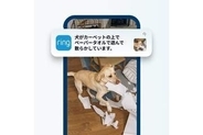 Ring、アプリを開かずに文章で確認できるAI要約機能　連続アラートのまとめ機能も