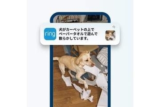 Ring、アプリを開かずに文章で確認できるAI要約機能　連続アラートのまとめ機能も