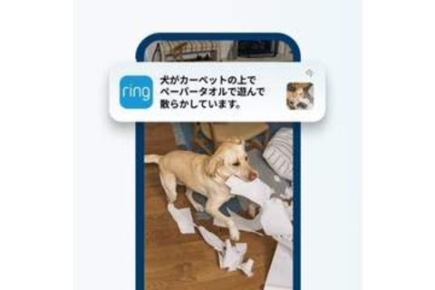 Ring、アプリを開かずに文章で確認できるAI要約機能　連続アラートのまとめ機能も