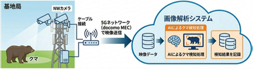 ドコモ、基地局のAIカメラでクマの出没を検知する実証実験を北海道で開始