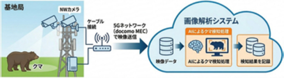 ドコモ、基地局のAIカメラでクマの出没を検知する実証実験を北海道で開始