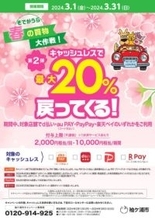 千葉県袖ケ浦市で3月に最大20％還元、PayPay／楽天ペイ／d払い／au PAYのキャンペーン