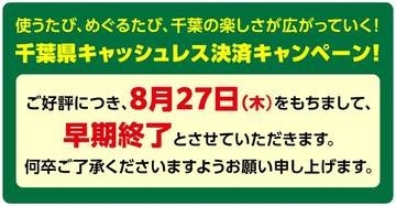 千葉県「キャッシュレス決済キャンペーン！」は27日終了に、予算到達で