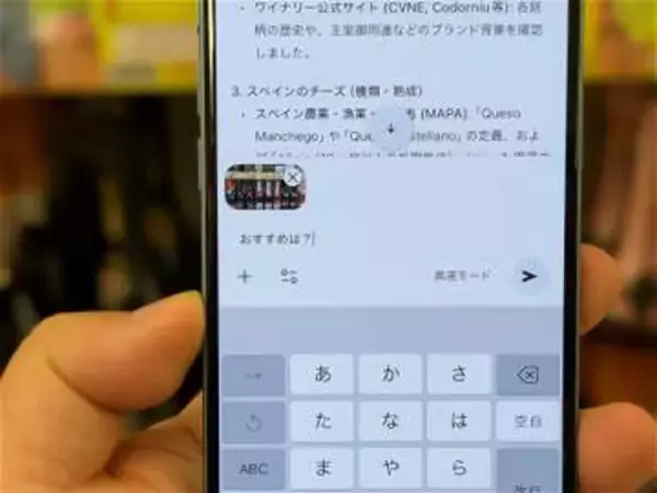[みんなのケータイ]「どれ買えばいいの……」旅行先のスーパーでGeminiを専属ガイドにしてみた