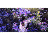 「チームラボのデジタルアートを「Galaxy Z Flip7」で楽しむ、原宿「Galaxy Harajuku」で新展示」の画像1