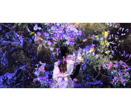 チームラボのデジタルアートを「Galaxy Z Flip7」で楽しむ、原宿「Galaxy Harajuku」で新展示