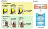 「NTT、スマホカメラだけで「柔らかさ」や「粘り気」を感じる手法を考案」の画像1