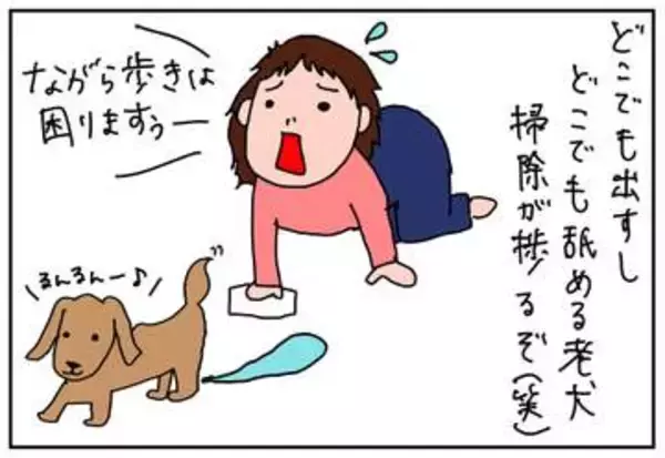 我が家の必須家電、セカンド冷凍庫が壊れて買い替え