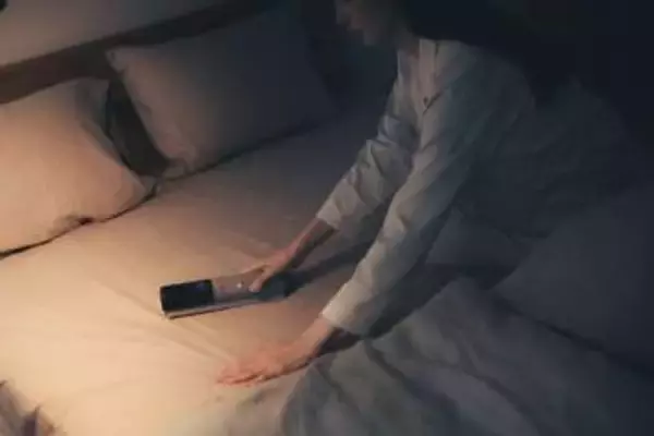 カドー、スティック型ふとんクリーナー　置き場所とらない