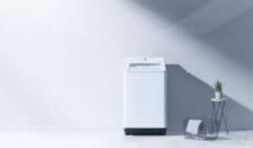 パナソニックのタテ型洗濯機、ダウンにも初めて対応