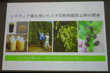 「スギ花粉の飛散防ぐ農薬、実用化近い? 花粉症重くしないためにできること」の画像1