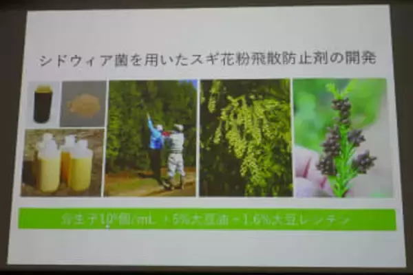 スギ花粉の飛散防ぐ農薬、実用化近い? 花粉症重くしないためにできること