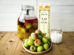 チョーヤ、家で梅酒や梅シロップ手作り楽しむキット