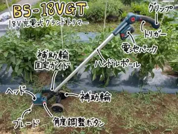 【家電レビュー】手ごわい雑草との戦い、コメリの草刈機で完全勝利　掃除機感覚で使えた