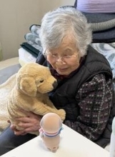 ロボットが家族になる時　ポケともとニコボのいる暮らし