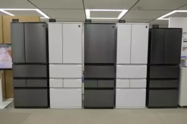 シャープの冷蔵庫、カットネギ凍らせてもくっつかない「パラパラ冷凍」