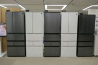 シャープの冷蔵庫、カットネギ凍らせてもくっつかない「パラパラ冷凍」