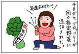 「春の人事異動。あの美味しい野菜も昇格!」の画像1