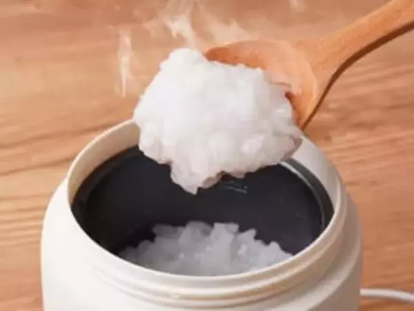 サンコー、オフィスでおかゆ作れる持ち運びクッカー