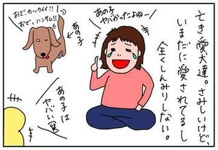 我が家にお婆さん犬がやってきた!