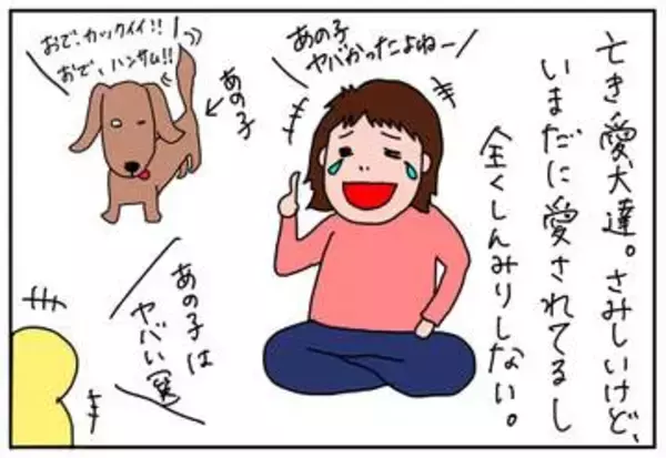 我が家にお婆さん犬がやってきた!