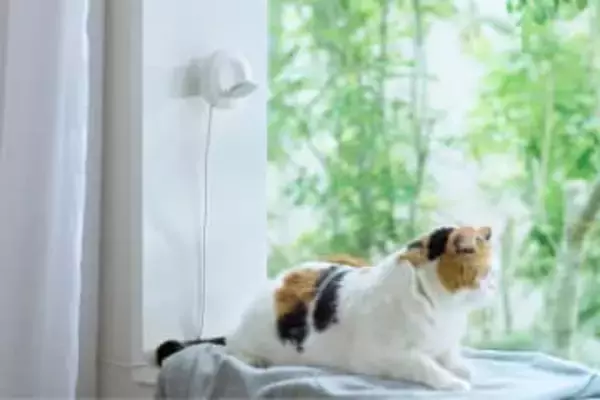 LIXILから猫の健康わかる家電　触れないから負担なし