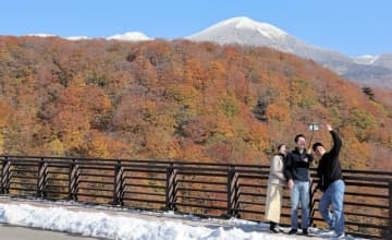 青森・八甲田の紅葉と冠雪あでやか「共演」　城ケ倉大橋から記者が撮影