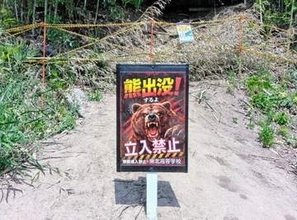 仙台・小松島4丁目で熊目撃　周辺には東北医科薬科大や東北高