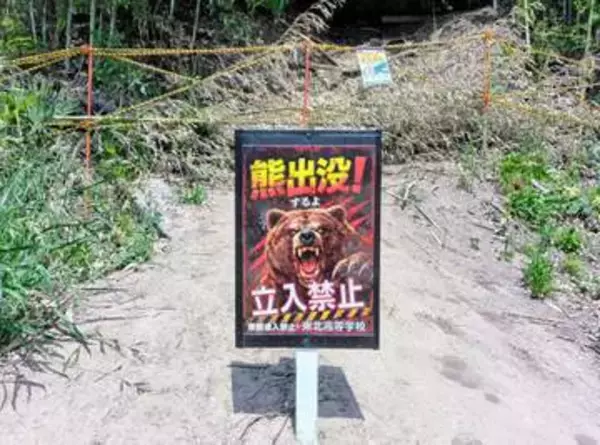 仙台・小松島4丁目で熊目撃　周辺には東北医科薬科大や東北高
