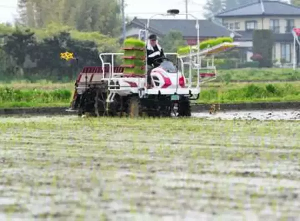 「良い酒は、良いコメから」　宮城・大崎の一ノ蔵が「やまのしずく」田植え